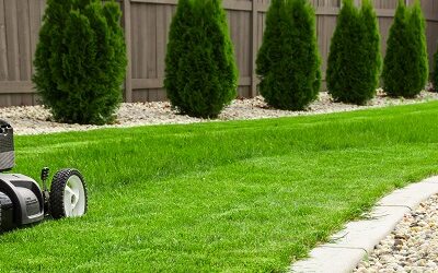 Start your lawn care project today